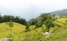 Tips and  tricks you discovered along the way Travel in Nepal